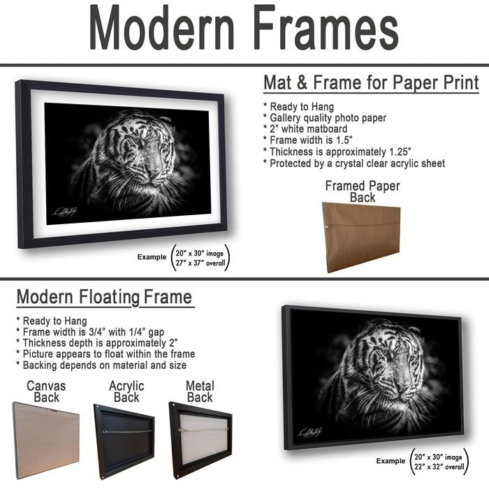 The image is a product advertisement for modern frames, showcasing different frame options for paper print and floating frame backings.
