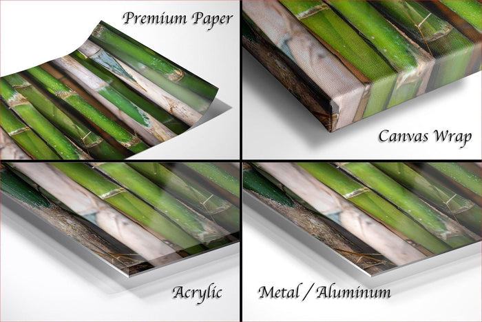 The image is a collage of four photos featuring a close-up view of green bamboo stalks. The photos are labeled as "Premium Paper", "Canvas Wrap", "Acrylic", and "Metal/Aluminum".