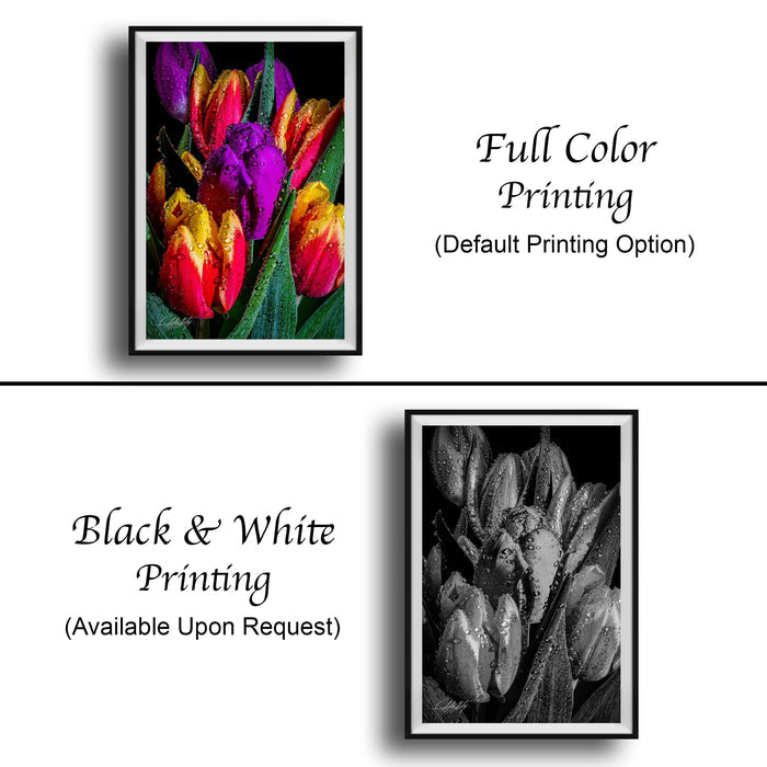 two framed prints of tulips, one in full color and one in black and white. The full color print is labeled as "Full Color Printing" and the black and white print is labeled as "Black & White Printing".