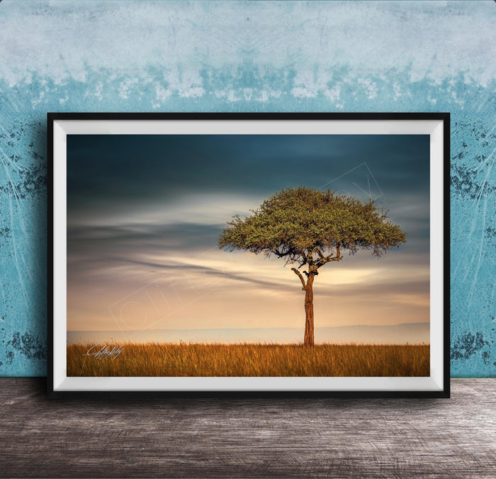 A framed photograph of a lone tree standing in a field, with a cloudy sky in the background.