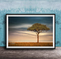 A framed photograph of a lone tree standing in a field, with a cloudy sky in the background.