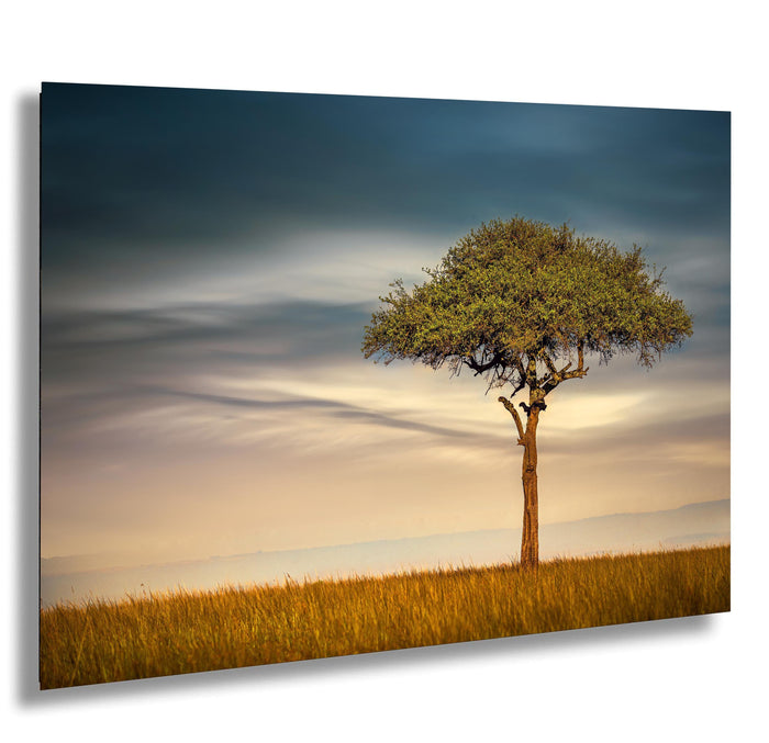 Maasai Mara safari, acacia tree Kenya, African landscapes, Kenya photography, wildlife photography, Maasai culture, safari adventure, Africa travel, golden savanna, best safari parks, Umbrella Thorn Acacia, African nature, sunrise photography