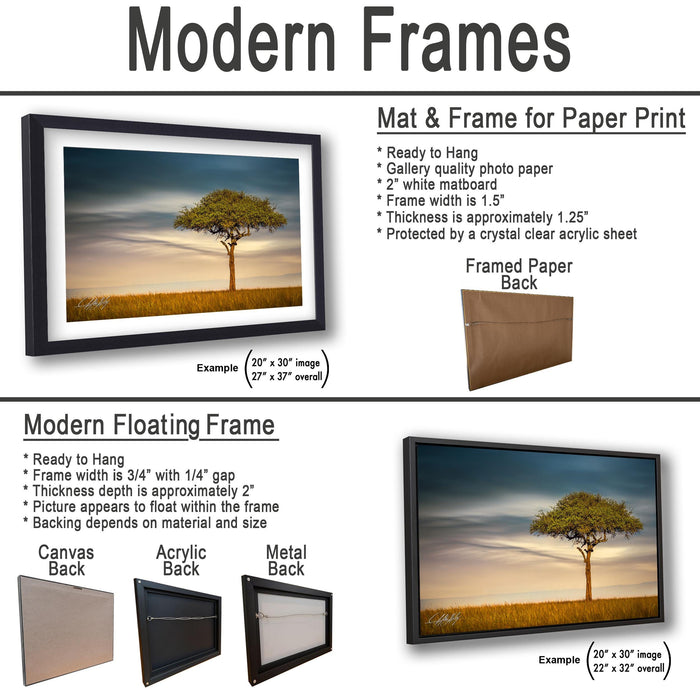 The image is a collage of two framed pictures, one of a tree and one of a sunset, both in black and white. The framed picture is a mat and frame for a paper print, while the other framed picture is a modern floating frame.