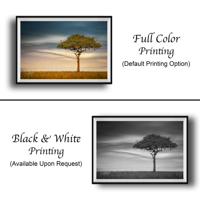 The image is a collage of two framed pictures. The top picture is a full color print of a tree in a field, while the bottom picture is a black and white print of the same tree. Both pictures are framed and displayed side by side, showcasing the contrast between the full color and black and white versions of the same image.
