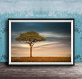 A lone tree stands in a field, its branches reaching out against a backdrop of a cloudy sky.