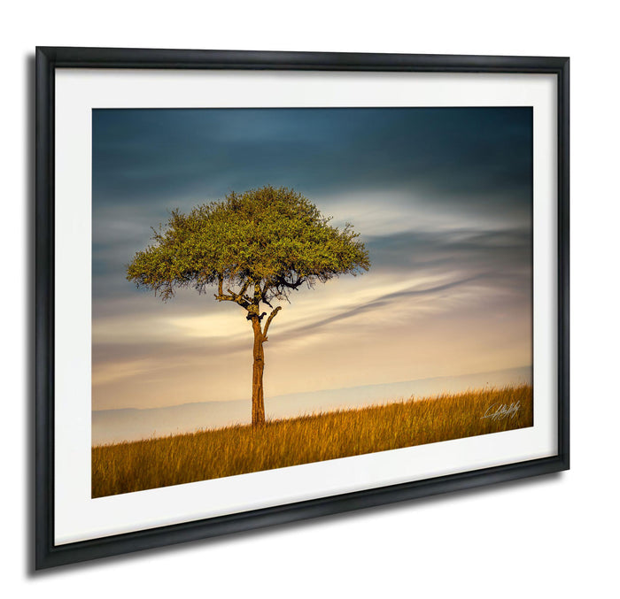 A lone tree stands in a vast field, its branches reaching out against a backdrop of a cloudy sky.