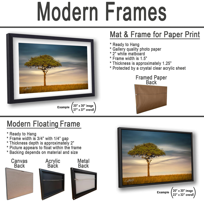 The image is a collage of two framed pictures, one of a tree and one of a sunset. The framed picture is a mat and frame for a paper print, while the other is a modern floating frame.