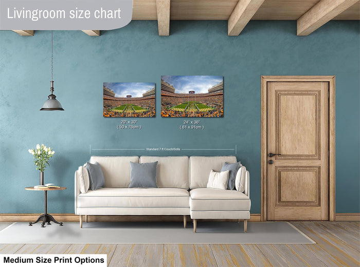 a living room with a white sofa, a wooden door, and a painting of a stadium on the wall. The painting is of a football stadium, and it is described as a medium-sized print.