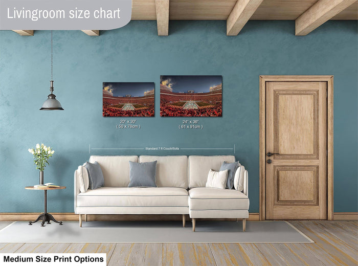 a living room with a white sofa, a wooden door, and a painting of a stadium on the wall. The painting is of a baseball stadium, and it is described as a medium-sized print.