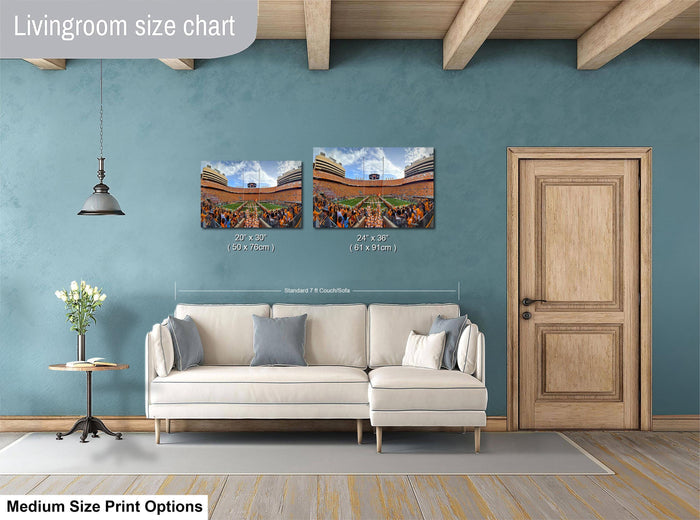a living room with a white sofa, a wooden door, and a hanging light fixture. There are two framed prints hanging on the wall, one depicting a large building and the other a group of people. The wall is painted a light blue color, and the floor is covered with a gray rug.