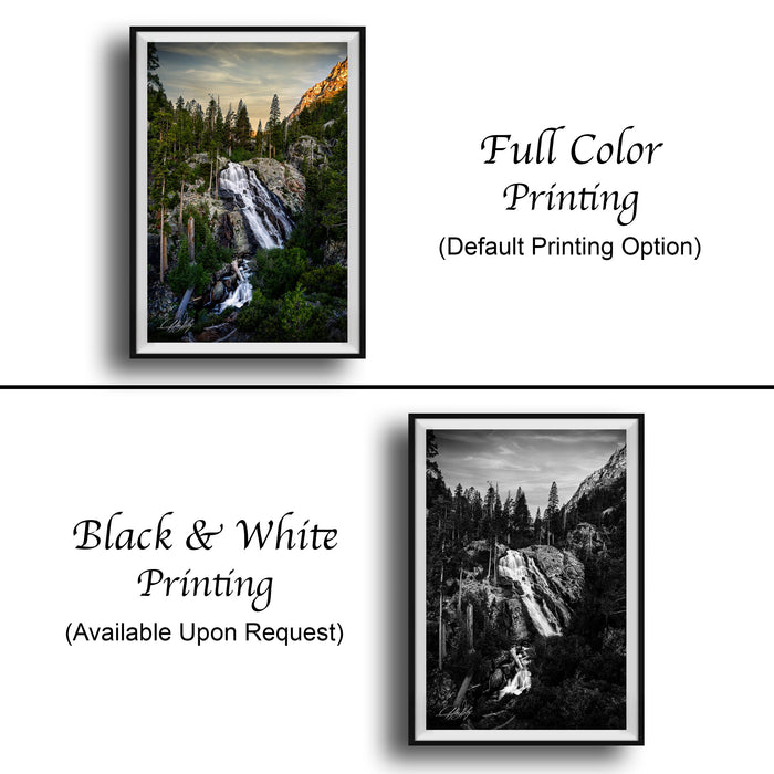 Waterfall Wall Art, Winter Pine Forest Lake Tahoe Nature Scene
