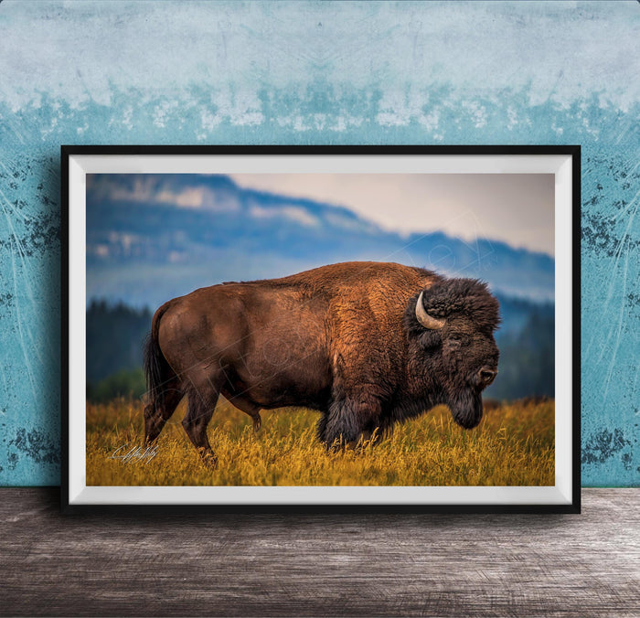 Western Bison Canvas Print – Rustic Buffalo Wall Decor with Bison Fur Texture Detail