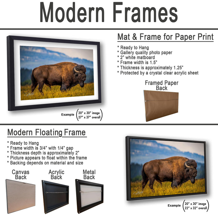 Western Bison Canvas Print – Rustic Buffalo Wall Decor with Bison Fur Texture Detail
