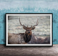A framed photograph of a majestic elk with large antlers standing in a natural setting.