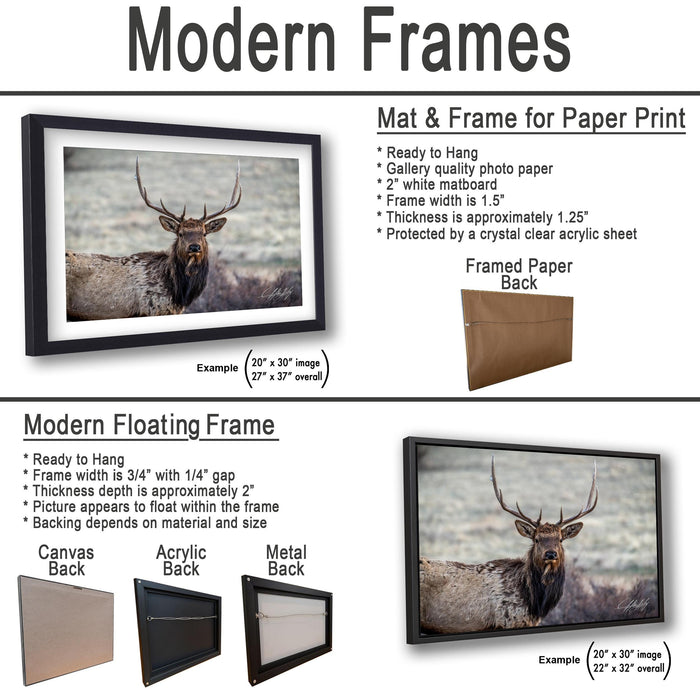 The image is a comparison of two different types of frames for a photograph: a mat and a frame for paper print, and a modern floating frame for a mat and a frame for a printed back.