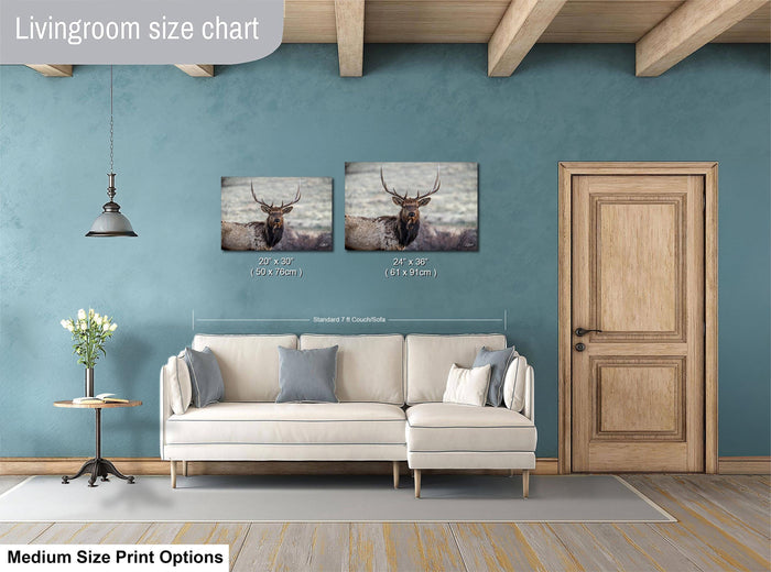 a living room with a white sofa, a wooden door, and a painting of a deer on the wall. The living room has a blue wall and a wooden ceiling.