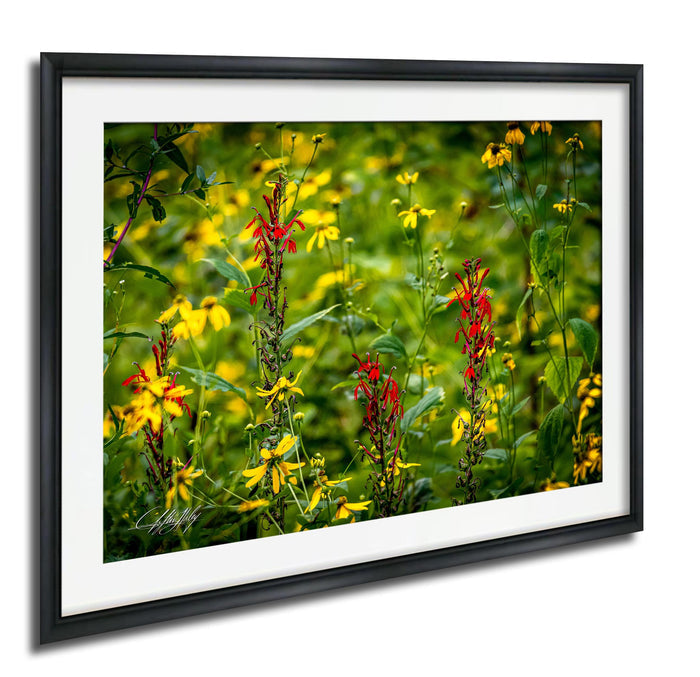 A framed photograph of a vibrant field of yellow and red flowers, with a lush green background.