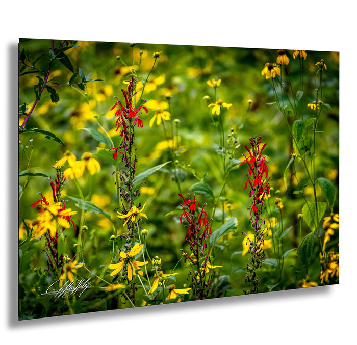 A vibrant field of yellow and red flowers, with the colors contrasting beautifully against the lush green foliage.