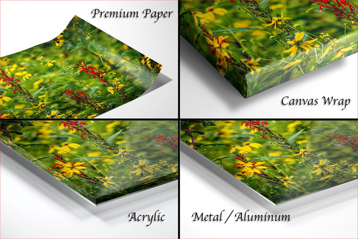 The image is a collage of four different images, each depicting a vibrant green field with yellow flowers. The images are labeled as "Premium Paper", "Canvas Wrap", "Acrylic", and "Metal/Aluminum".