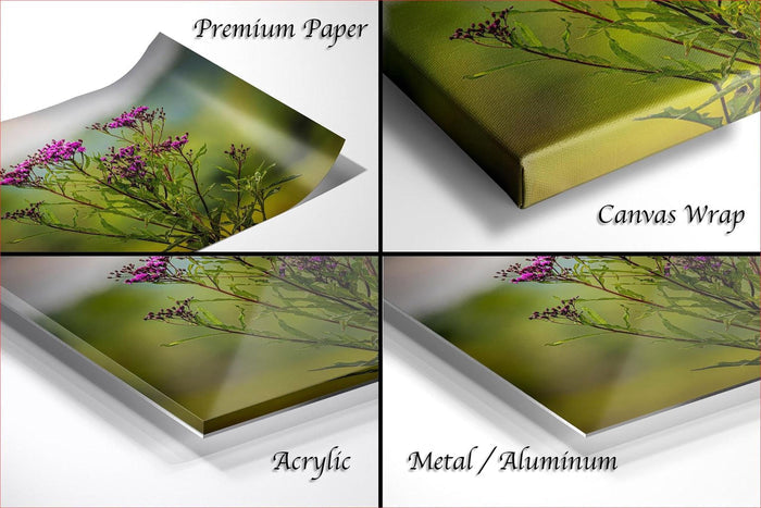 The image is a collage of four photos depicting different types of paper used for printing, including premium paper, canvas wrap, acrylic, and metal/aluminum.