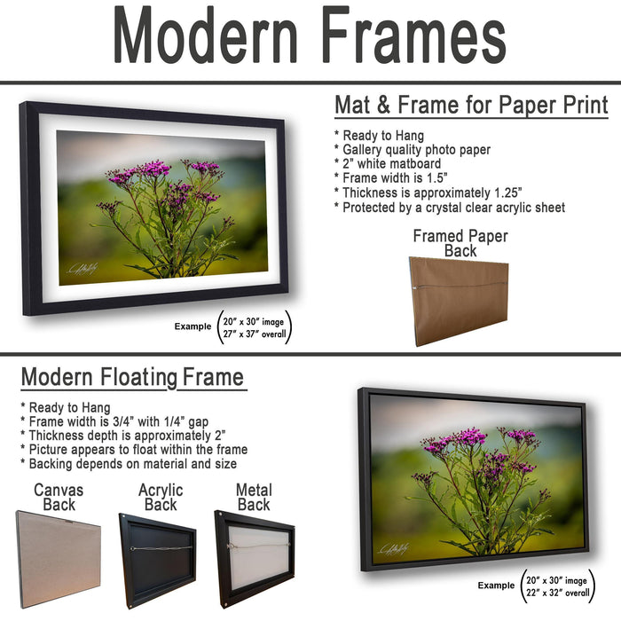 The image is a collage of three framed artworks, each with different frame types and backings. The first frame is a mat and frame for a paper print, the second frame is a modern floating frame, and the third frame is a mat and frame for a canvas print.