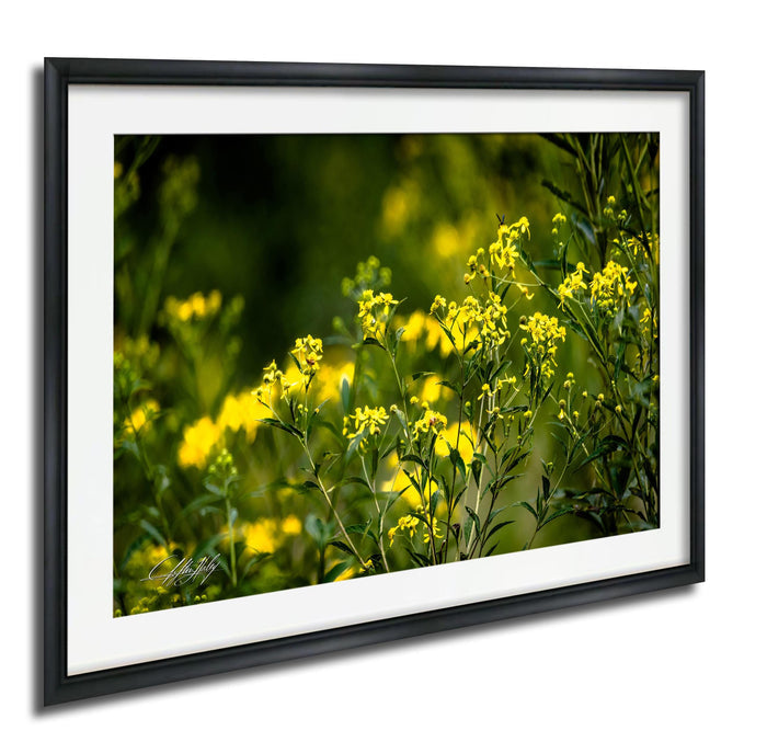 A framed photograph of a field of yellow flowers, with the flowers in full bloom and the background blurred, creating a sense of depth and movement.