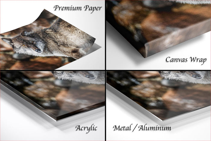 The image is a collage of four photographs depicting a wolf in different settings, including a close-up of the wolf's face, a close-up of the wolf's body, and a close-up of the wolf's face and body. The photographs are labeled as "Premium Paper", "Canvas Wrap", "Acrylic", and "Metal/Aluminum".