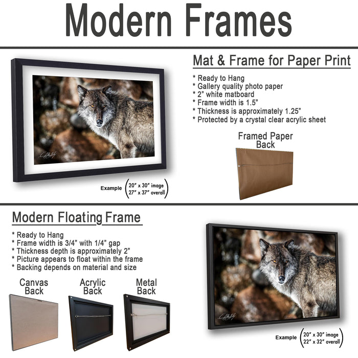 The image is a collage of two framed artworks, one of which is a mat and frame for a paper print, and the other is a modern floating frame.