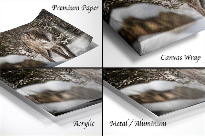 The image is a collage of four different close-up views of a snowy landscape, each with a different frame type: "Premium Paper", "Canvas Wrap", "Acrylic", and "Metal/Aluminum".