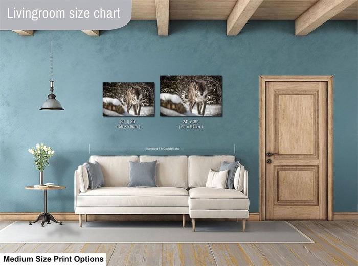 a living room with a white sofa, a wooden door, and a hanging light fixture. Above the sofa, there is a livingroom size chart that provides dimensions for the artwork displayed on the wall.