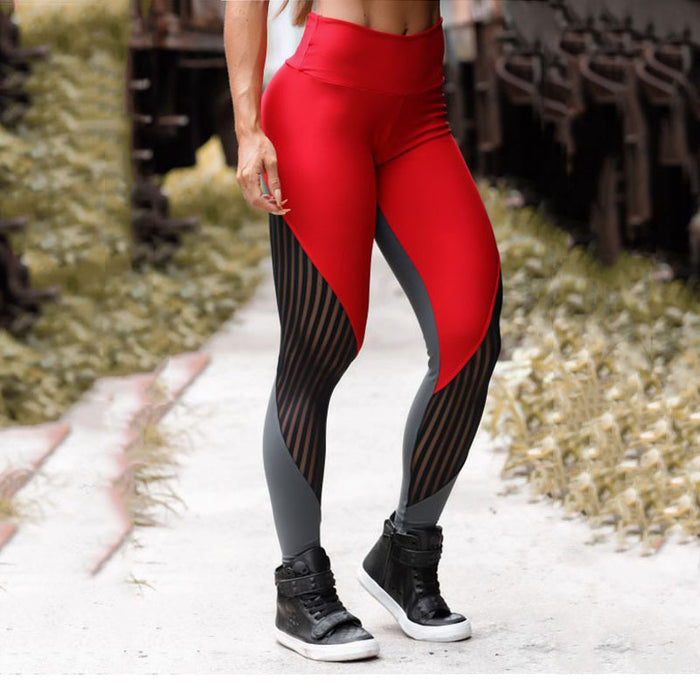 Women's Mesh-Stitch Sports Yoga Pants