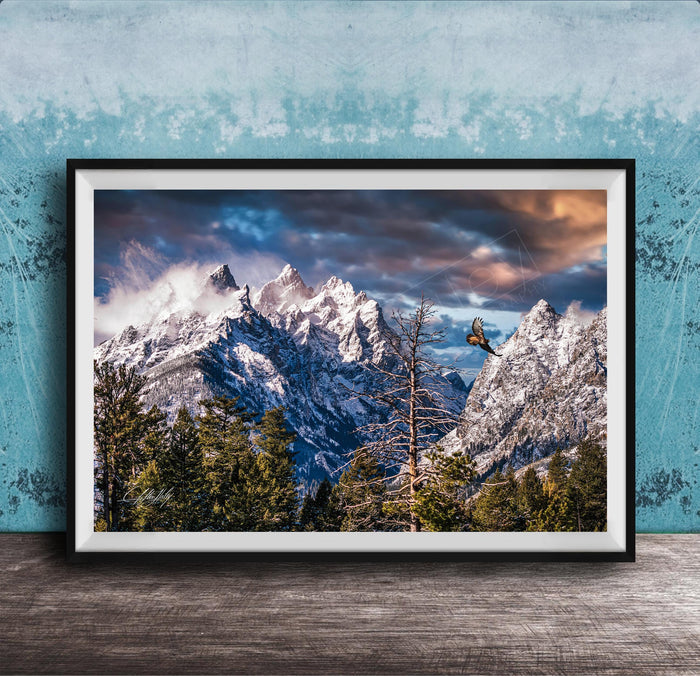 A framed photograph of a snow-capped mountain range with a cloudy sky, surrounded by pine trees and a lone bird in flight.