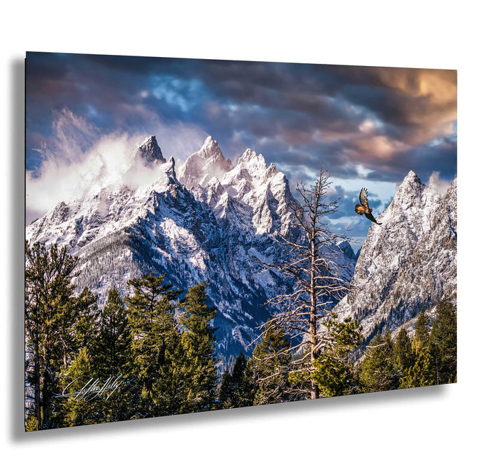 A majestic snow-capped mountain range with a lone tree in the foreground, set against a dramatic cloudy sky.