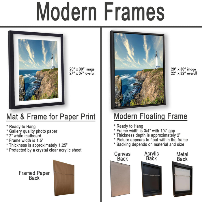 The image is a comparison of modern framed prints and modern floating frames for paper print photography. It displays two framed prints and two framed floating frames, each with different characteristics and features.