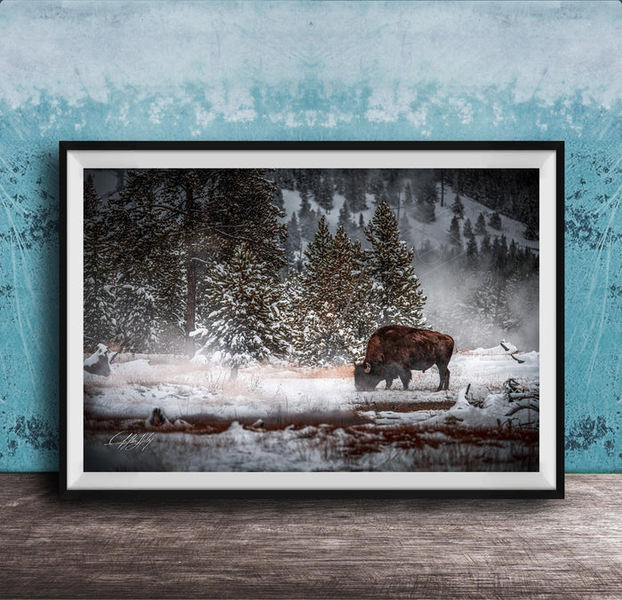 A large framed photograph depicting a bison grazing in a snowy forest landscape.