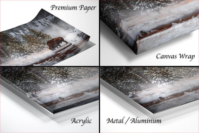 The image is a collage of four different views of a snowy landscape, with the text "Premium Paper", "Canvas Wrap", "Acrylic", and "Metal/Aluminum" indicating the materials used to print the images.