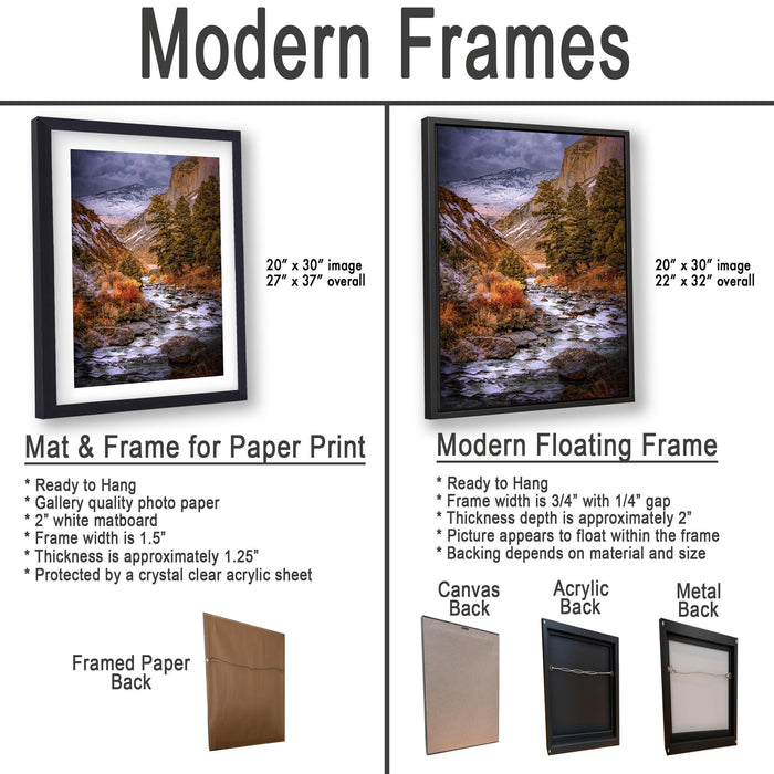 The image is a comparison of modern framed prints and modern floating frames for paper print photography. It displays two framed prints and two framed floating frames, each with different characteristics and features.