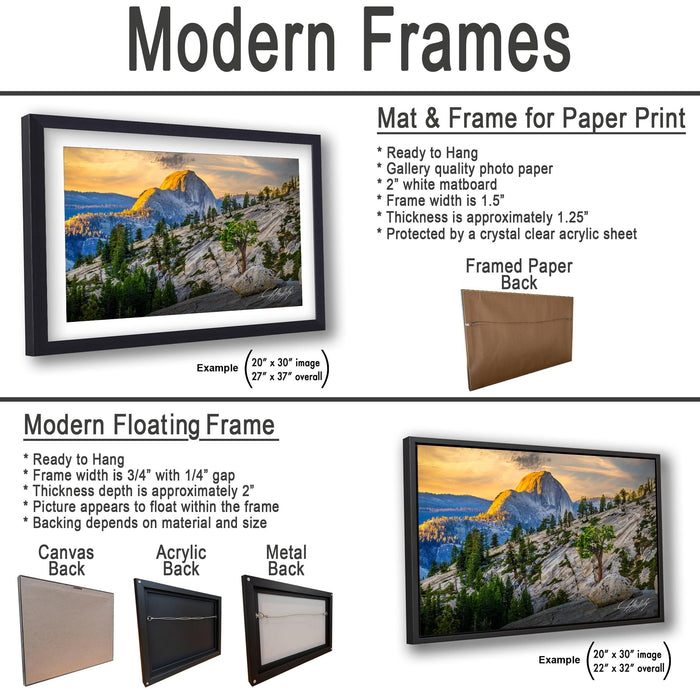 The image is a collage of three framed pictures, each with different frame types and backings. The first frame is a mat and frame for a paper print, the second frame is a modern floating frame, and the third frame is a mat and frame for a printed back.