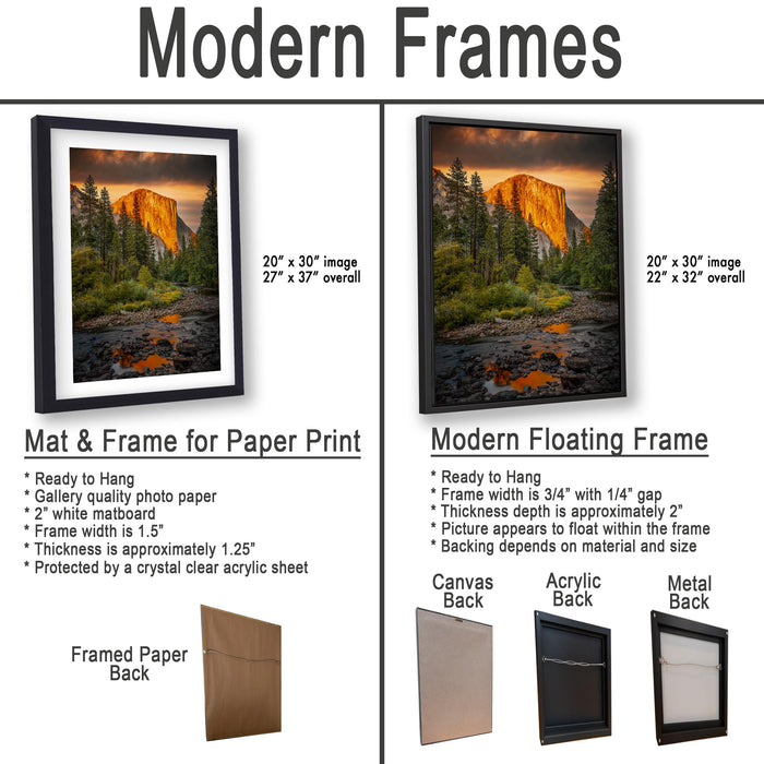 The image is a comparison of modern framed prints and modern floating frames for paper print photography. It displays two framed prints and two framed floating frames, each with different characteristics and materials.
