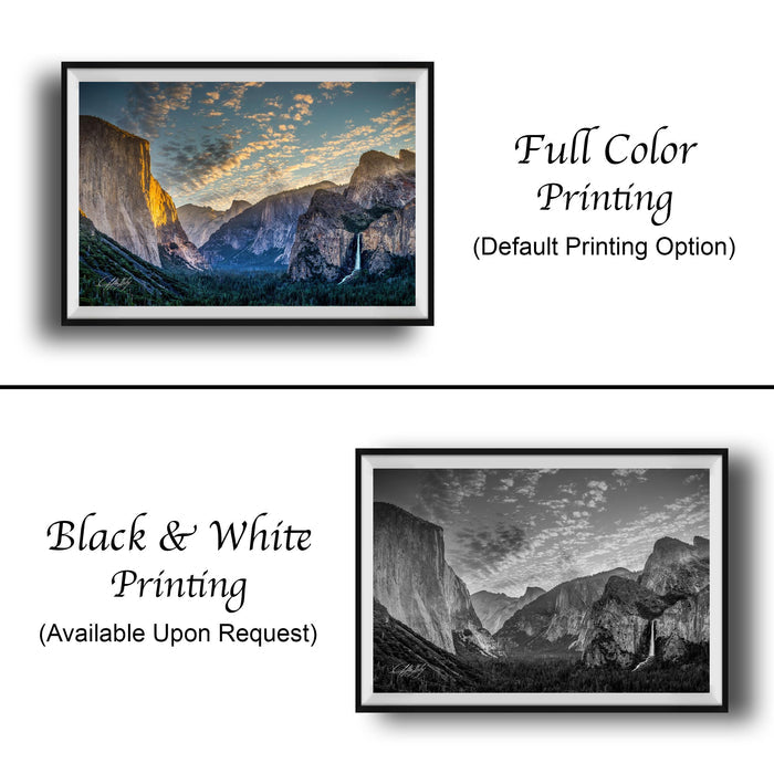 The image is a collage of two framed pictures, one in black and white and the other in full color. The black and white picture is labeled as "Black & White Printing" and the full color picture is labeled as "Full Color Printing (Default Printing Option)".