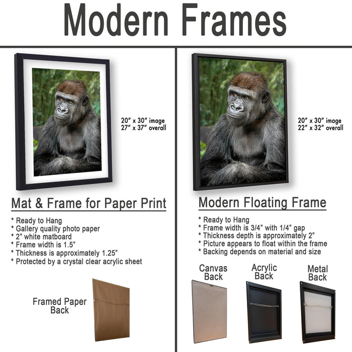 The image is a comparison of modern frames for different types of artwork, including a close-up of a gorilla and a framed print of a picture.