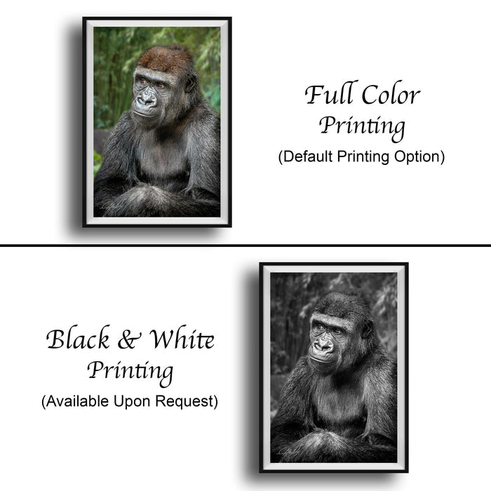 The image is a collage of two framed pictures, one in black and white and the other in full color. The black and white picture is labeled as "Black & White Printing" and the full color picture is labeled as "Full Color Printing (Default Printing Option)".